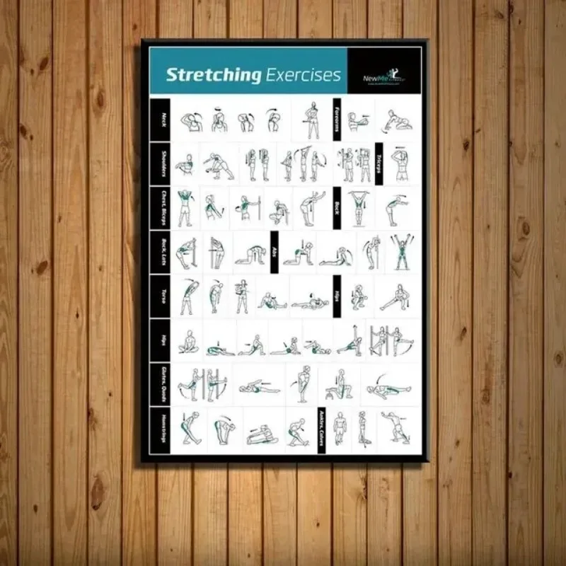 Badminton Poster - مخطط تدريب الجسم وصالة الألعاب الرياضية
